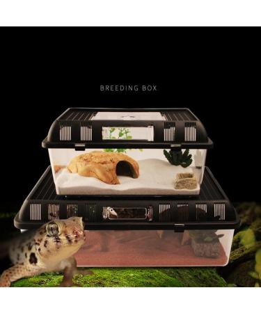 Breeding Box Petforu Crawler Jar Small Reptile Feeding Box Portable Plastic - Rectangle S - Buy Online on GoSupps.com