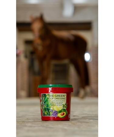  Kevin Bacon's Kevin Bacon's The Green Hoof Dressing | 500 ml | Plant-based hoof balm for horses | Suitable for cracked and brittle hooves | Nourishing and strengthening effect | Olive oil - Buy Online on GoSupps.com
