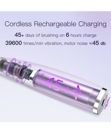 FUMEIKANG Kids Electric Toothbrushes Sonic Tooth Brush for Boys and Grils Power Toothbrush 3 4 5 6 7 8 9 10 11 12 (Purple) - Buy Online on GoSupps.com