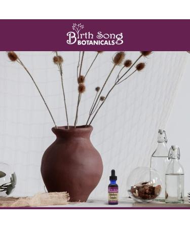 Birth Song Botanicals Elderberry Complex Tincture Respiratory and Immune Support Herbal Supplement 1 oz - Buy Online on GoSupps.com