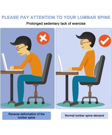 Wellxunk Lumbar Support Pillow - Adjustable Neck & Back Pain Relief | EVA Massage Pillow for Comfort & Refresh - Buy Online on GoSupps.com