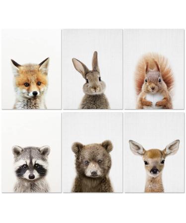 OCDSLYGB Forest Animals Posters Animals Pictures Decoration Forest Animals Bedroom Accessories Room Poster Set Set of 6 Children's Room PosterWall Art and Safari Decoration - No Frame