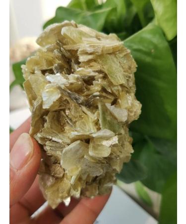 300g-400g Natural Crystal Gem Crystal s - Buy Online on GoSupps.com