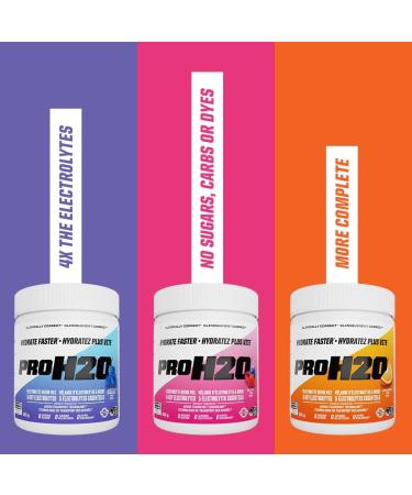 PVL Pro Series PROH2O | Advanced Hydration powder electrolyte powder with 5 key electrolytes no sugar carb free zero calories - 30 serving (255 G Berry Blast) Berry Blast 30 Servings (Pack of 1) - Buy Online on GoSupps.com