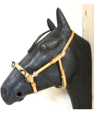 Buy PS Horse French Cavesson with D-Rings - Soft Full Size Natural & Gold Fittings | International Shipping Available - Buy Online on GoSupps.com