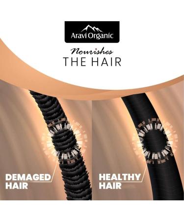 Red Onion Hair Shampoo for Growth & Fall Control | Ginger Argan & Black Seed Oil | 6.7 FL Oz - Paraben Free - For Men & Women - Buy Online on GoSupps.com