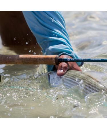 Redington Predator Fly Fishing Rod with Tube  4 Pieces  Big Game Fish Rod  Freshwater and Saltwater 5 WT 9' - Buy Online on GoSupps.com