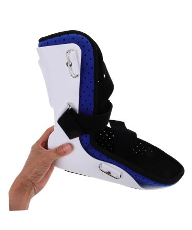 Buy Fixed Shoe Foot Sprain Braces & Ankle Support Sleeves - Women & Men - Plantar Protection for Sports & Foot Care - Buy Online on GoSupps.com