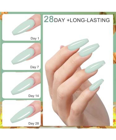 28g/box Professional Acrylic Nail Powder Set for French Manicure - HJ-NAP017-No.1 - Buy Online on GoSupps.com