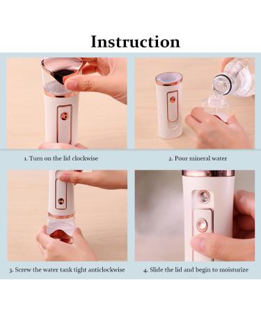 Aolyty Nano Facial Sprayer Portable Steamer Cool Mist Moisturizing and Hydrating Humidifier for Skin Care SPA USB Charger with Power Bank (Pearl Pink) - Buy Online on GoSupps.com
