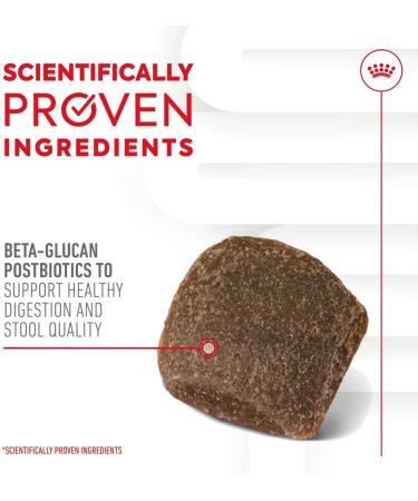 Royal Canin Dog Supplement for Digestion Soft Chews 160g - Buy Online on GoSupps.com