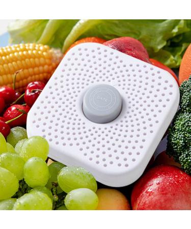 Mini Air Cleaner for Refrigerator - Natural Activated Bamboo Carbon Deodorizer & Odor Absorber | Eliminate Smells & Improve Freshness - Buy Online on GoSupps.com