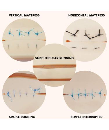 Medarchitect Upgraded 3-Layer Suture Pad with Wounds - Anti-Slip Base - Durable for Suturing Practice - Buy Online on GoSupps.com