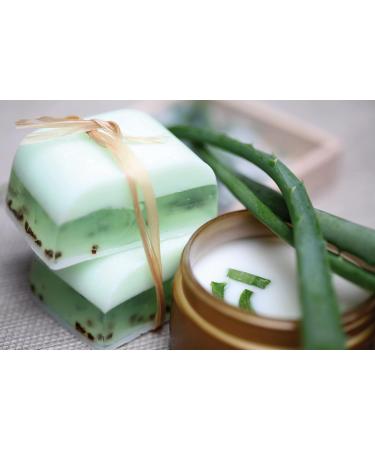  Glorex Aloe Vera Ecological Glycerin Soap Transparent 1500g - Buy Online on GoSupps.com