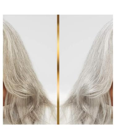 Hair Biology Haarmask Silver & Glowing | Revitalize & Shine | International Shipping - Buy Online on GoSupps.com