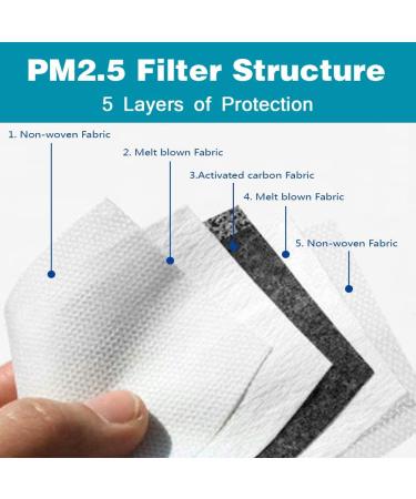 50 PCS PM 2.5 Activated Carbon Filters - Replaceable Filter Inserts - Buy Online on GoSupps.com