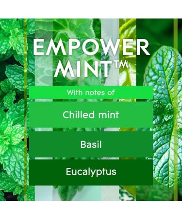 Glade Scented Candle Empower Mint Air Freshener Infused with Essential Oils 1-Wick Candle 1 Count - Buy Online on GoSupps.com