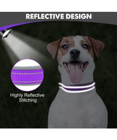 Joytale Softly Padded Neoprene Dog Collar for Small Dogs | Reflective Nylon Wide Collar in Purple - 1 Pack - Buy Online on GoSupps.com
