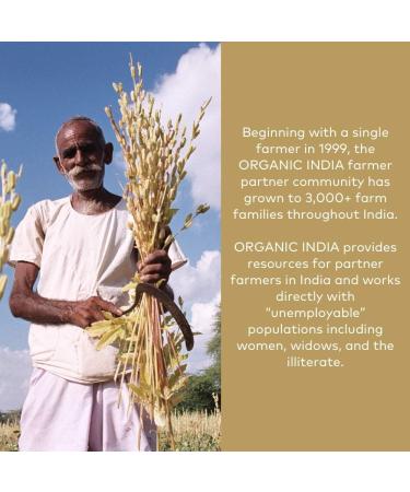 ORGANIC INDIA Amalaki Herbal Vitamin Supplement - Immune Support, Vitamin C, Vegan, Gluten-Free, Kosher, Ayurvedic, Antioxidant - 90 Capsules, USDA Certified Organic, Non-GMO - Buy Online on GoSupps.com