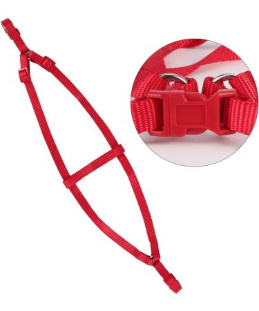 Felenny Bird Dishes & Leash - Adjustable Outdoor Accessories for Scarlet Macaw Sun Conure and Nymphensittich - Anti-Bite Protection (Large Red) - Buy Online on GoSupps.com