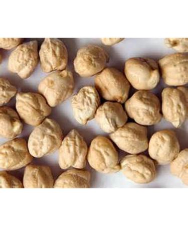 Garbanzo Bean Microgreen 8 Ounces of GARBANZO Bean Seeds for Sprouting - Buy Online on GoSupps.com