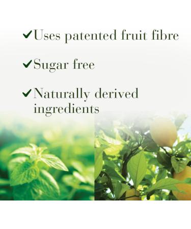 New Nordic Frutin Gastro Gel - Sugar-Free Vegan Chewable Antacid - Supports Stomach Acid Relief - Made with Citrus Pectin - 48 Chewable Tablets (Pack of 3) - Buy Online on GoSupps.com