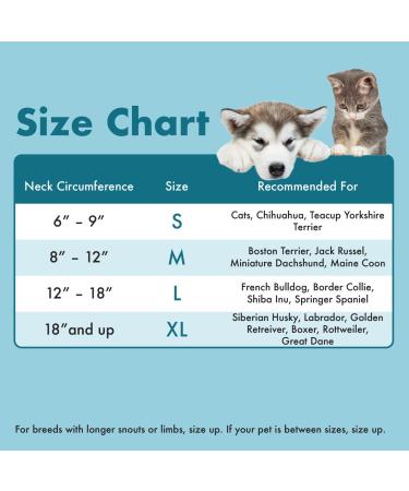 Soft Inflatable Dog Cone - Large Blue Pet Recovery Collar - Buy Online on GoSupps.com