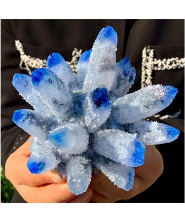 Natural Crystal Rough Stone Crafts Blue Phantom Quartz Crystal Cluster Specimen (Size : 400-500g) - Buy Online on GoSupps.com
