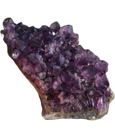 Natural Quartz Crystal Amethyst Cluster Druzy Geode Specimens Suitable for Home HOMEZHOU (Size : 550-600g) - Buy Online on GoSupps.com