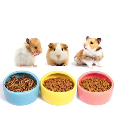 Ceramic Hamster Food Bowl DBAILY 3PCS Hamster Feeding Bowls Eating Basin Feeder Hedgehog Feeder Water Bowl Dish Holder for Guinea Pig Rodent Rat Gerbil Cavy