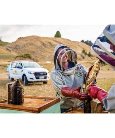 ARATAKI Certified Manuka Honey UMF 17+ MGO 631+ 500g produced and packed in New Zealand - Buy Online on GoSupps.com