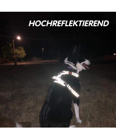 POPOT No Pull Dog Harness - Reflective Pet Vest for Daily Training Walking & Running | Checker Beige Large - Buy Online on GoSupps.com