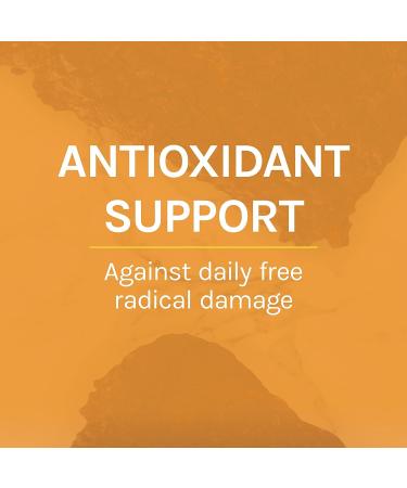 Host Defense Chaga Powder 3.5 oz - Antioxidant Support Mushroom Supplement - Buy Online on GoSupps.com