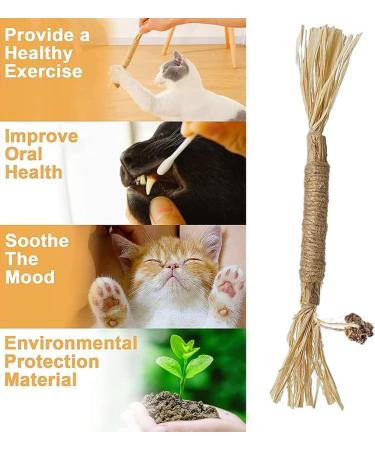 Organic Cat Mint Sticks - 6PCs Dental Chew Toys for Cats | Tooth Cleaning & Fresh Breath - Buy Online on GoSupps.com