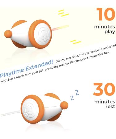 Cheerble Interactive Cat Toys for Indoor Cats Automatic Cat Toy with LED Lights  Wicked Mouse Toy USB Rechargeable Auto On & Off - Yellow - Buy Online on GoSupps.com