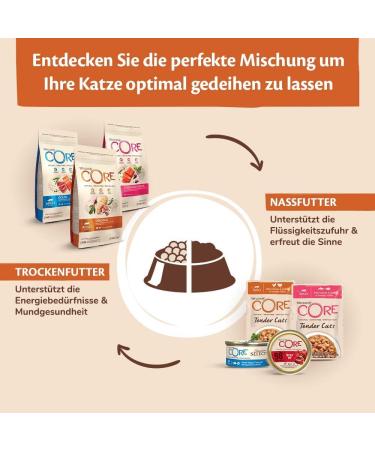 Wellness Core Tender Cuts Cat Food - Grain Free Wet Sauce High Meat Content Turkey Selection Mix (6 x 85g Pack) - International Shipping Available - Buy Online on GoSupps.com