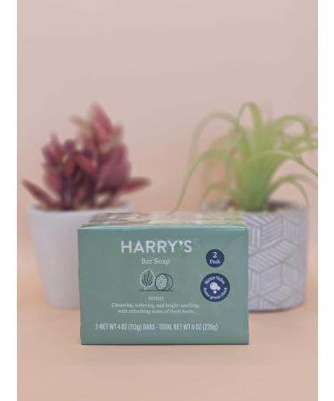 Buy Shiso Bar Soap - Cleansing & Lathering 4 Oz Each Pack of 2 | Shop Internationally - Buy Online on GoSupps.com