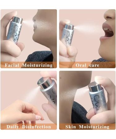 2-Piece 10ml Portable Atomizer Sprayer Set for Perfume | Refillable Fine Mist Spray Bottles | Travel-Friendly Perfume Atomizer Kit with Funnel | Silver & Black - Buy Online on GoSupps.com
