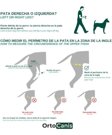 Ortocanis Knee Brace for Dogs - Right Hind Leg Size S | Cruciate Ligament Patellar Luxation & Osteoarthritis Support - Buy Online on GoSupps.com