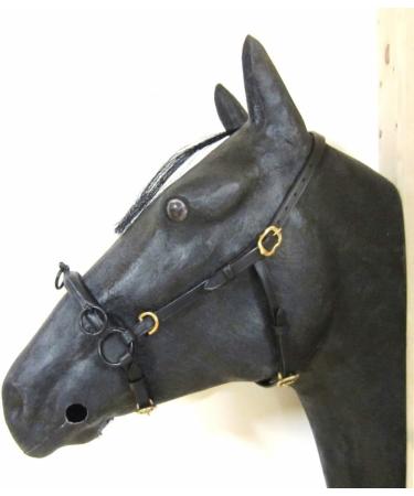 Buy PS Horse French Cavesson Cavecon with D-Rings - Soft Full Size Black & Gold Fittings | International Shipping - Buy Online on GoSupps.com