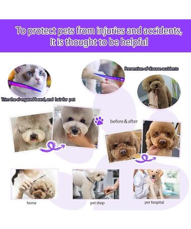 Purple Dragon Professional 7.0 inch 4PCS Pet Grooming Scissors Kit - Premium Japan Steel Straight & Curved Blades with Case - Dog Hair Cutting Shears Set in Electroplating Purple - Buy Online on GoSupps.com