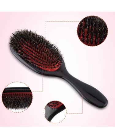Oval Hair Comb Brush - Detangling & Straightening Paddle Hairbrush | Scalp Massage Tool (2 Sizes) - Buy Online on GoSupps.com