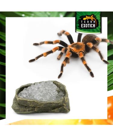 Terra Exotica Water Gel 250ml & 1000ml - Secure Water Supply for Insects Spiders & Scorpions - Buy Online on GoSupps.com