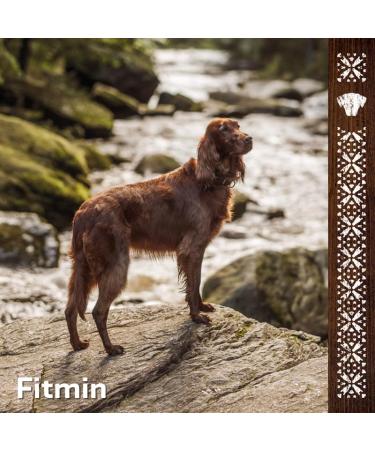 Fitmin Medium Maxi Maintenance Lamb with Beef | Dry dog food | With lamb and beef | 74% animal raw materials | For adult dogs of medium and large breeds | 12 kg or 2.5 - Buy Online on GoSupps.com