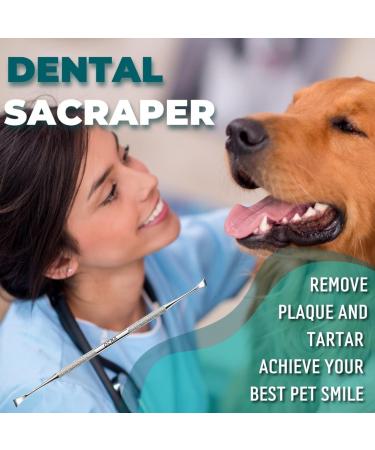 Double Headed Tarter Scraper & Tooth Scaler for Dogs & Cats - Stainless Steel Dental Tool for Pet Teeth Cleaning - Buy Online on GoSupps.com