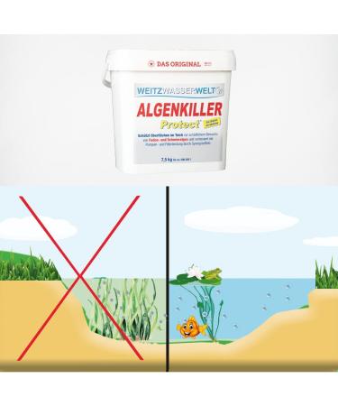 Algae Killer Protect - Effective Water Care for Garden & Swimming Ponds (75g | Up to 5 000 Liters) | International Shipping Available - Buy Online on GoSupps.com