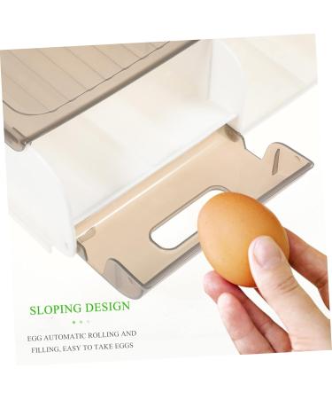 GLEAVI Egg Carton Eggs Fridge Plastic Containers Plastic Organizers Reusable Egg Case Refrigerator Egg Tray As Shown 1 31X30X9.5cm - Buy Online on GoSupps.com