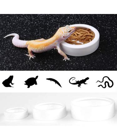 Reptile Food Water Dish Worm Bowl Mealworm Feed Feeder Mini Reptile Food Bowl Ceramics Made (L) - Buy Online on GoSupps.com