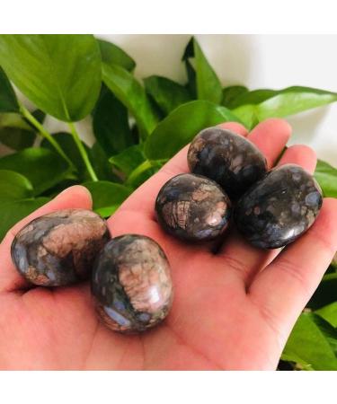 Specimen Healed 20g-30g Mini Size Natural Quartz Crystal Stone for Home Decoration 4pc As a Gift FZUGEDRLI - Buy Online on GoSupps.com