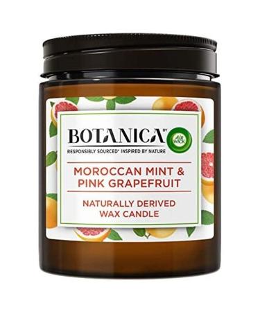 Botanica by AirWick Air Freshener Naturally Derived Wax Candle MINT & PINK GRAPEFRUIT Up to 40 Hours Burn Time Moroccan Mint & Pink Grapefruit Pack of 1